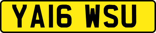 YA16WSU