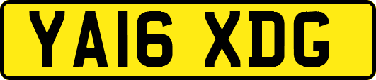 YA16XDG