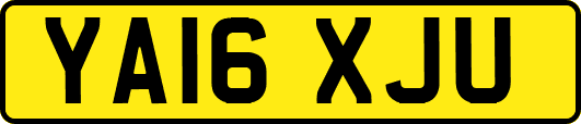 YA16XJU