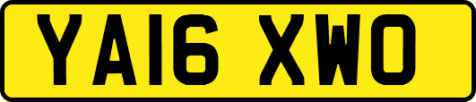 YA16XWO