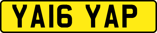 YA16YAP