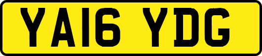 YA16YDG