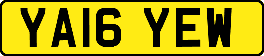 YA16YEW