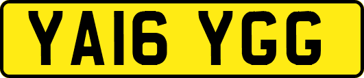 YA16YGG