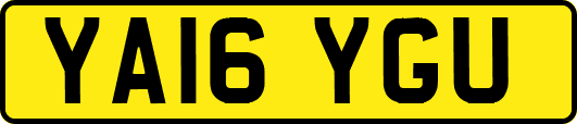 YA16YGU