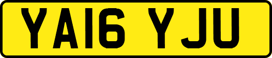 YA16YJU