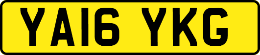 YA16YKG