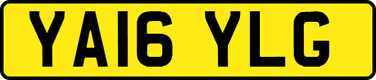 YA16YLG