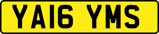 YA16YMS