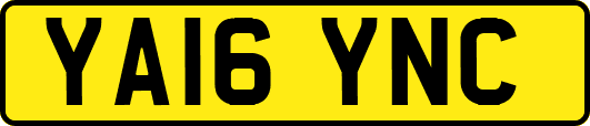 YA16YNC