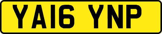 YA16YNP