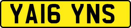 YA16YNS