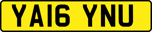 YA16YNU