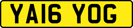 YA16YOG