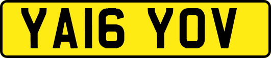 YA16YOV