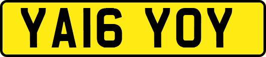 YA16YOY