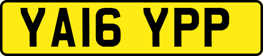 YA16YPP