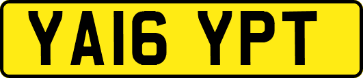 YA16YPT