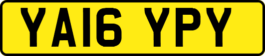 YA16YPY