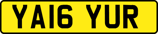 YA16YUR