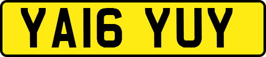 YA16YUY