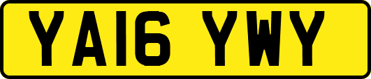 YA16YWY