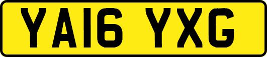 YA16YXG