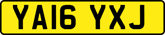 YA16YXJ