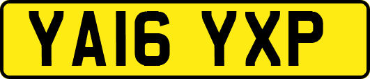 YA16YXP