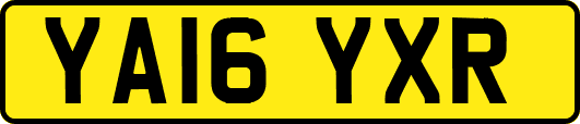 YA16YXR