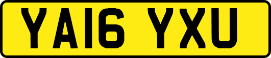 YA16YXU