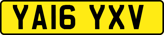 YA16YXV