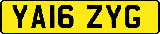 YA16ZYG