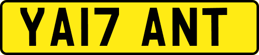 YA17ANT