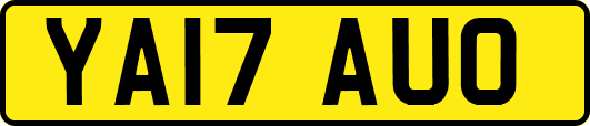 YA17AUO