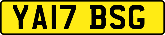 YA17BSG