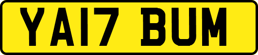 YA17BUM