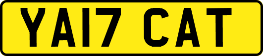 YA17CAT