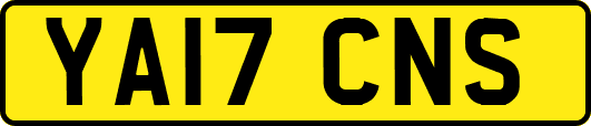 YA17CNS