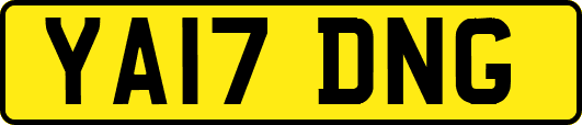 YA17DNG