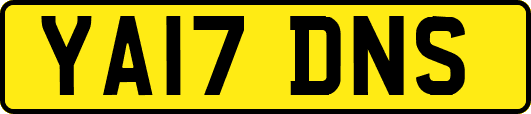 YA17DNS