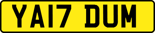 YA17DUM