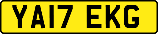 YA17EKG