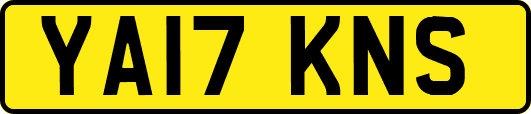 YA17KNS