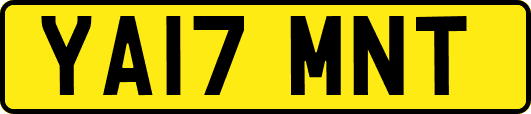 YA17MNT