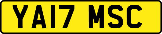 YA17MSC