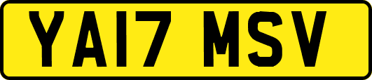 YA17MSV