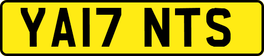 YA17NTS