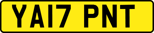 YA17PNT