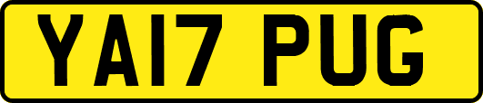 YA17PUG
